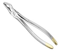 DENTAL EXTRACTING FORCEPS MOLAR ENGLISH FORCEPS SIZE 31